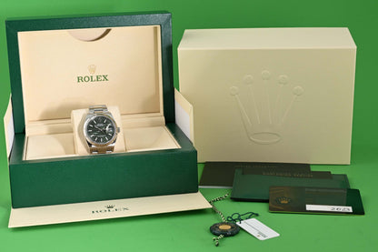 Rolex Oyster Perpetual Datejust 126234 - Full Set - Palm Motif Dial